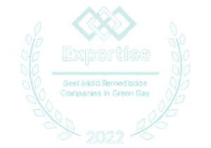 best mold remediation green bay