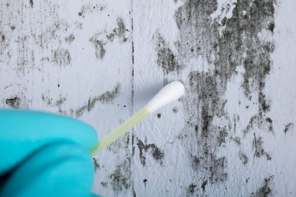 Mold removal Allouez WI